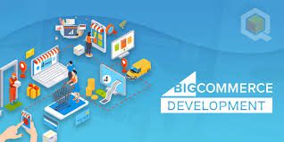 Why You Should Hire a Professional BigCommerce Website Development ...